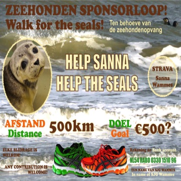 Sponsorloop in 2020.jpg